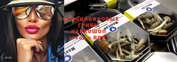 молекула духа Саяногорск