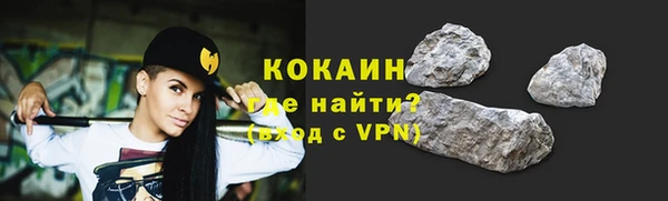 индика Гатчина