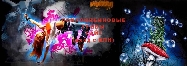 молекула духа Саяногорск